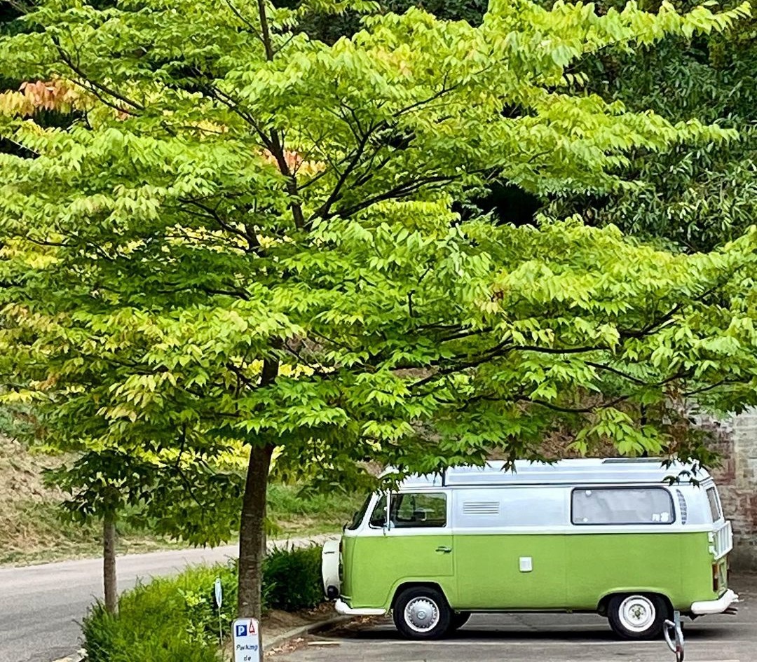 Enjoying a small stop