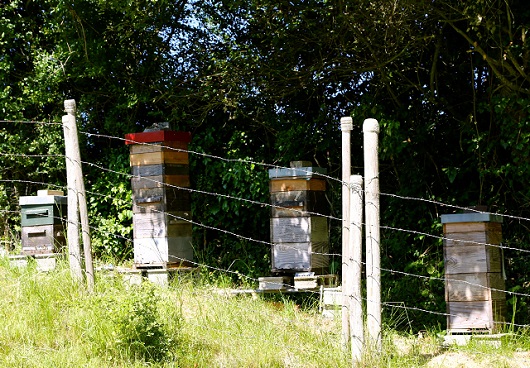 La ferme pédagogique du Lieu Roussel à DOUVILLE-EN-AUGE - NCPA