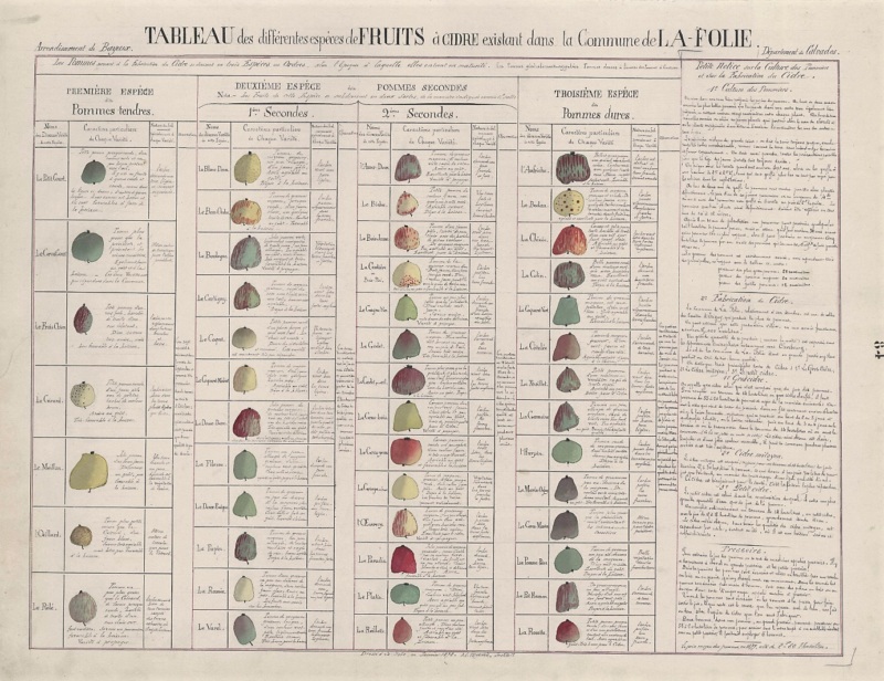 Cider Classification What is Calvados ? The history of the French Apple Brandy - Calvados France