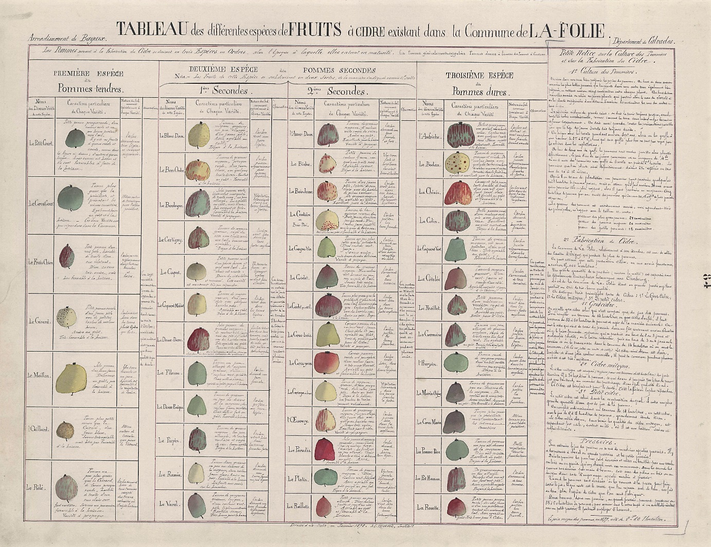 Calvados France - Official website of the Calvados appellation